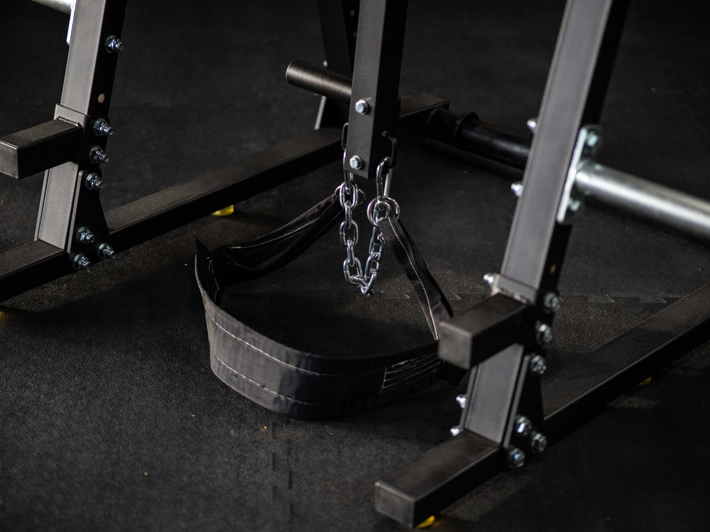 Reverse Hyper SQMIZE® ELITE CLUB RH1200 www.simpleproducts.at 