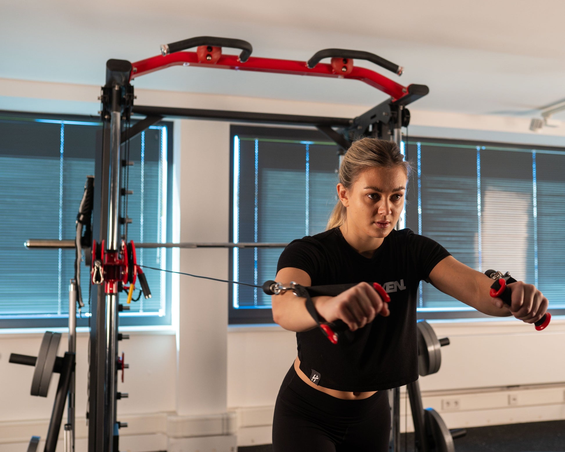 Smith Machine & Kabelzug: Multi Functional Gym SQMIZE® PREMIUM BISON SQ-S950 www.simpleproducts.at 